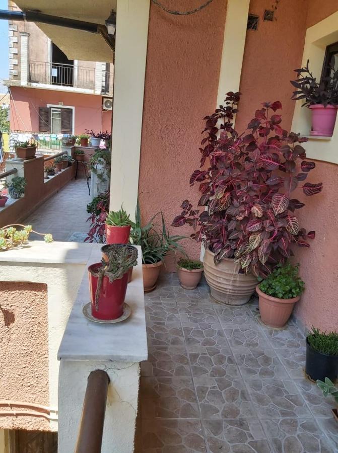 Eugenia Apartment Perama (Corfu) Exterior foto
